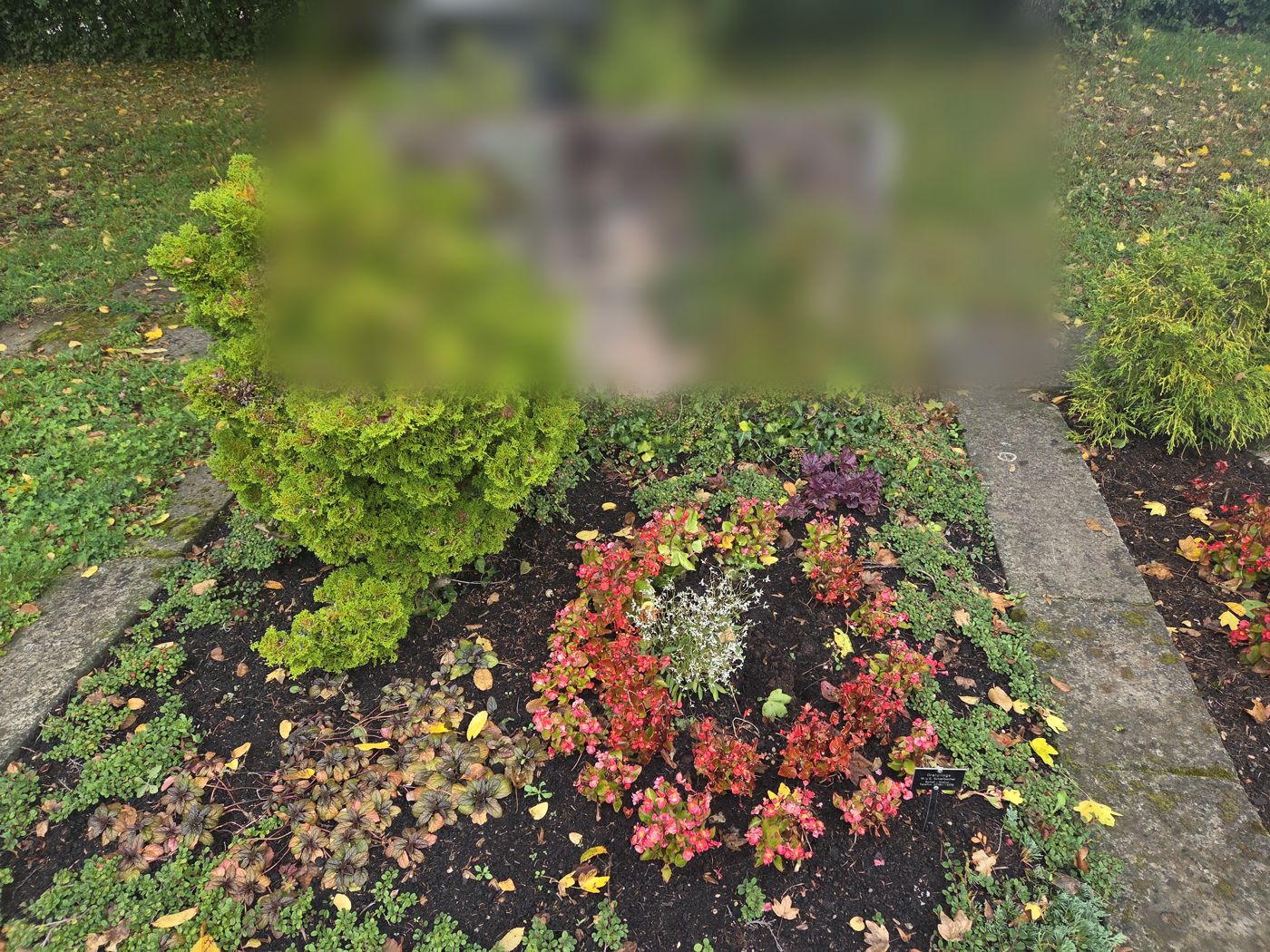 Herbstlich bepflanztes Rundbeet auf einem Grab auf dem Friedhof Winterbach